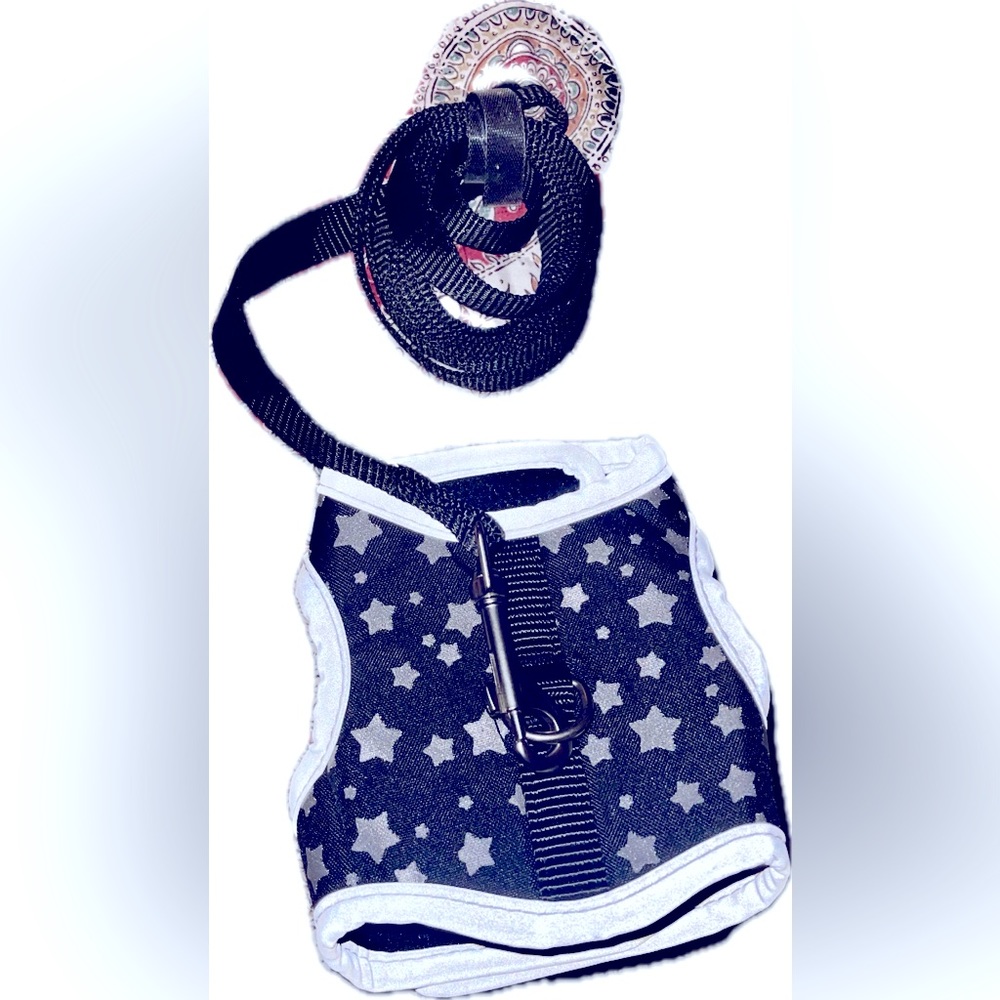 Pet harness and leash